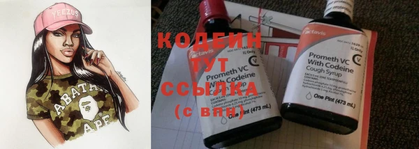 прущий лед Костерёво