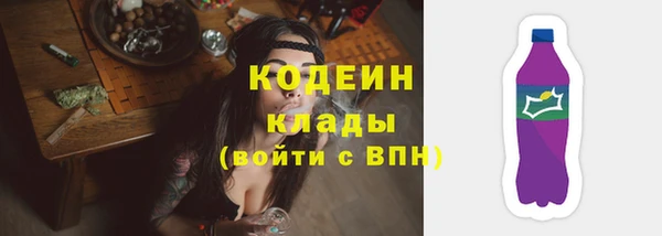 мдпв Киреевск