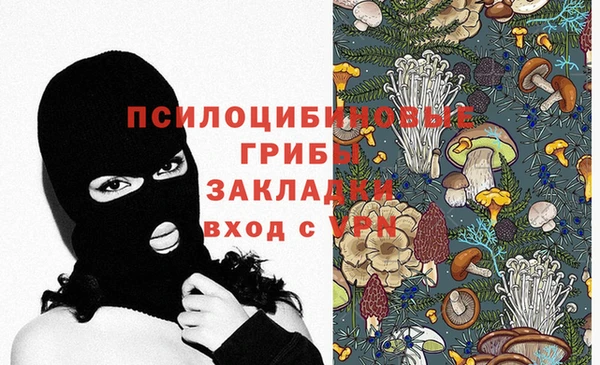 мдпв Киреевск