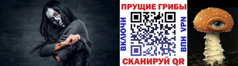 Купить  Гудермес  Галлюциногенные грибы прущие грибы 